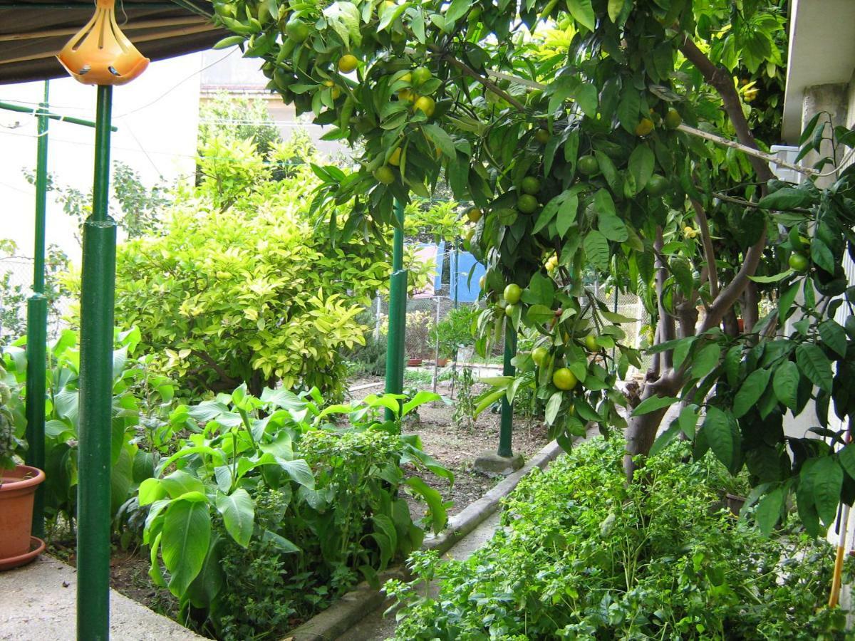 Paro Appartement Split